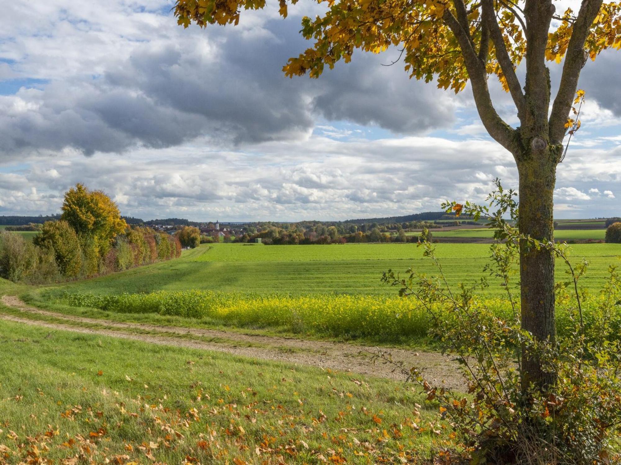 Lovely Holiday Home In Haunsheim Exteriör bild