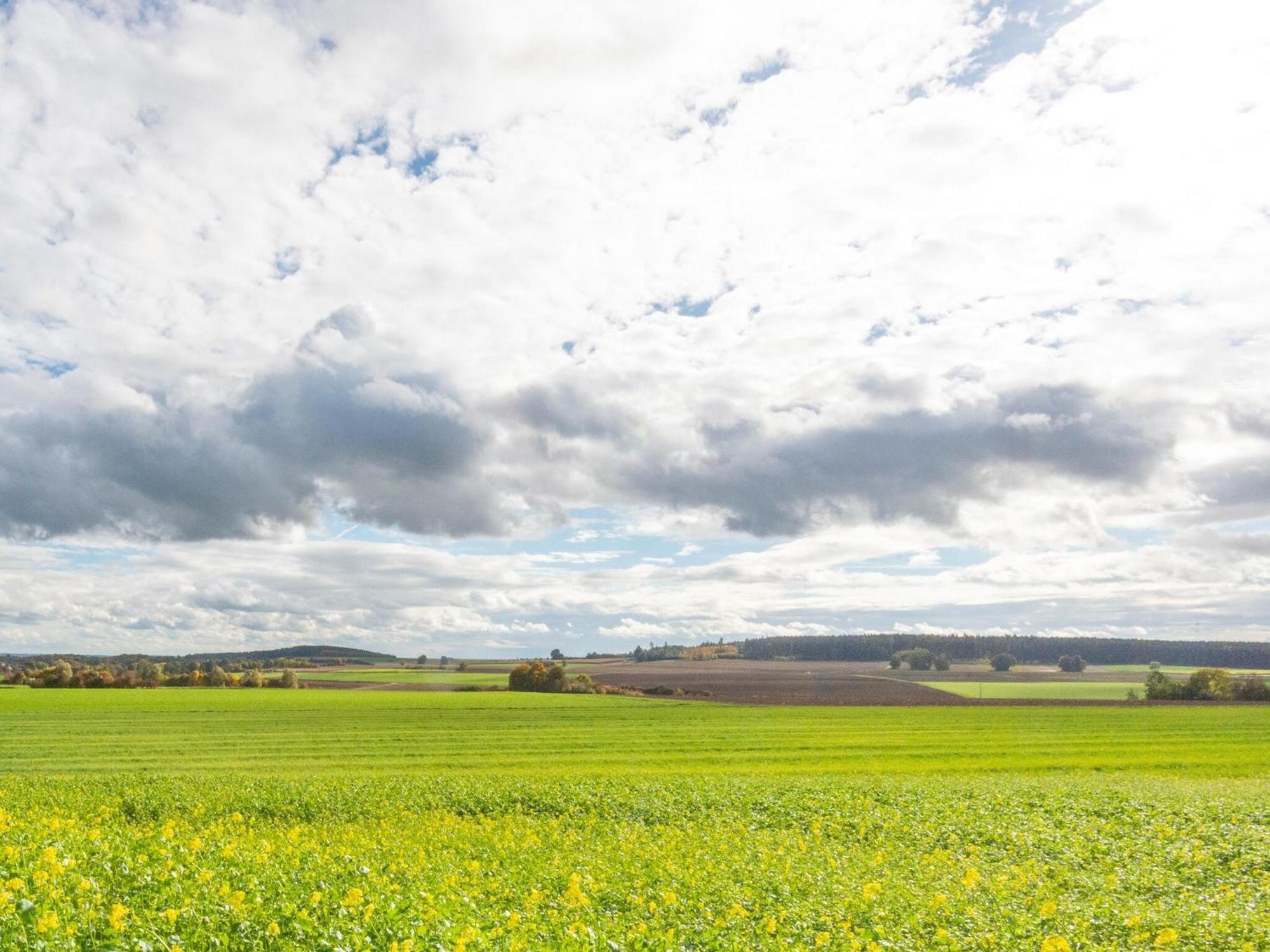 Lovely Holiday Home In Haunsheim Exteriör bild