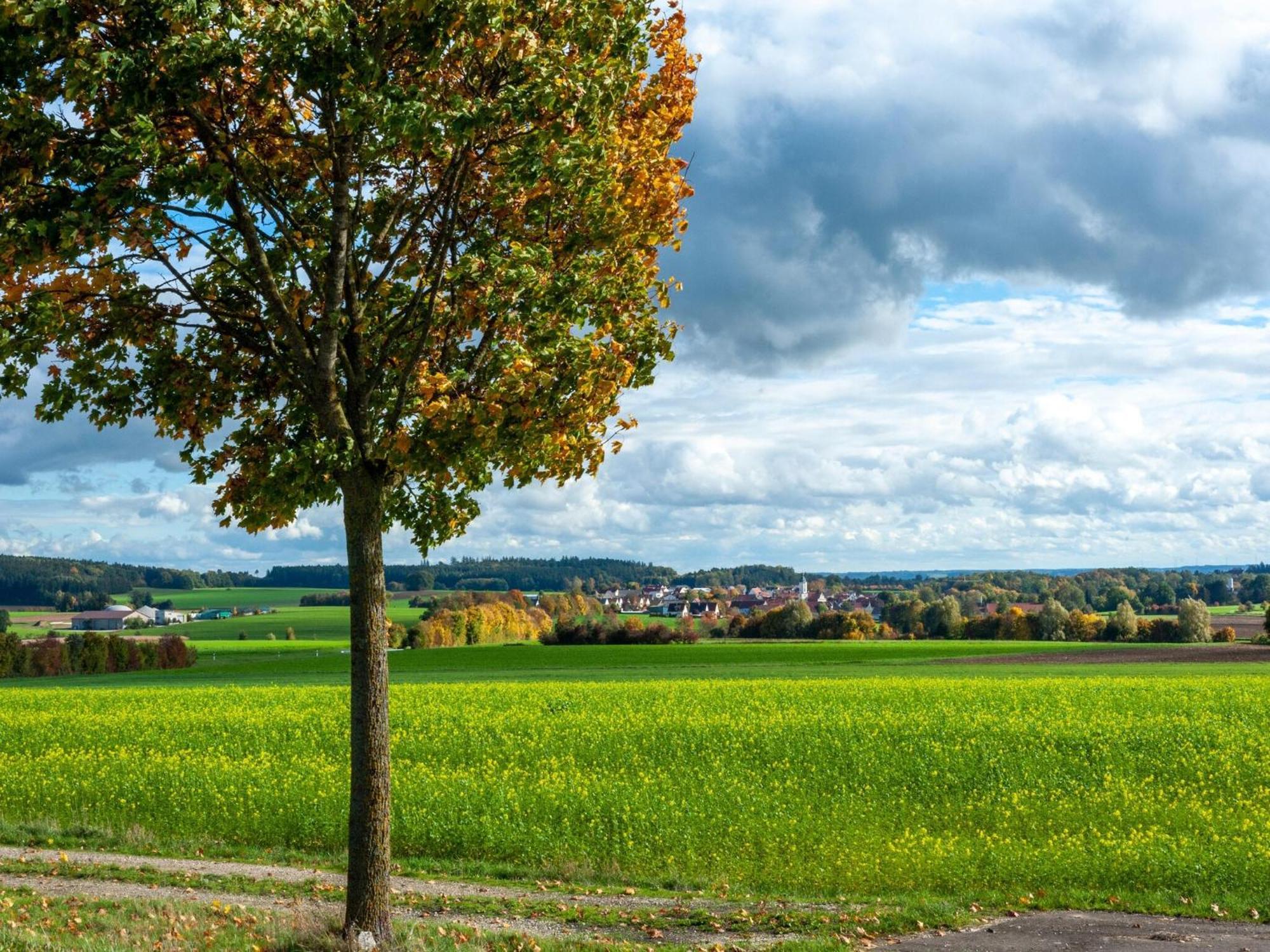 Lovely Holiday Home In Haunsheim Exteriör bild